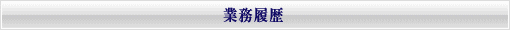 業務履歴(当社は東大阪を拠点に様々な分野で公共の福祉に力を注いでおります)